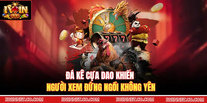 Đá kê cựa dao khiến người xem đứng ngồi không yên